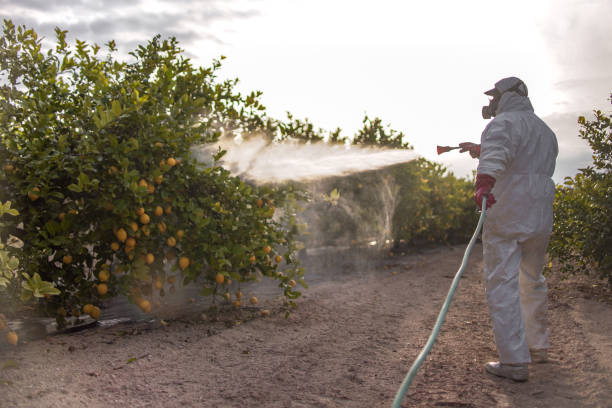Best Pest Prevention Services  in , MT