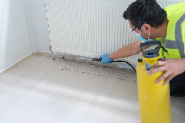 Best Emergency Pest Control  in , MT
