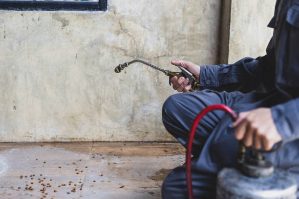 Best Affordable Exterminators  in , MT